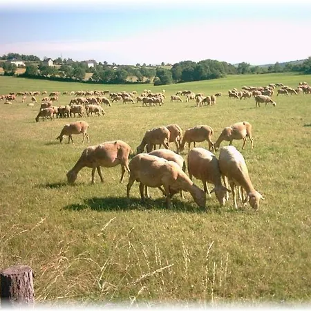 Les Palmiers Des Causses בית נופש Saint-Rome-de-Tarn