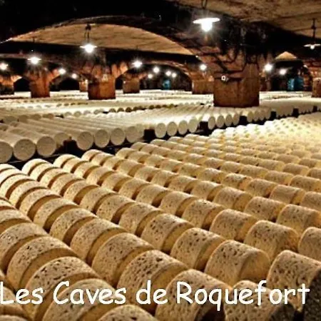 度假居 Les Palmiers Des Causses