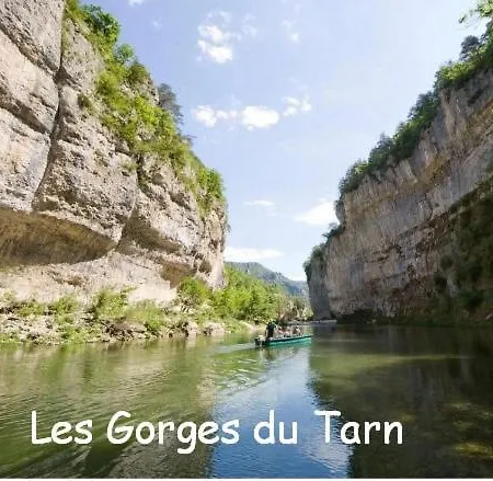 Les Palmiers Des Causses בית נופש Saint-Rome-de-Tarn