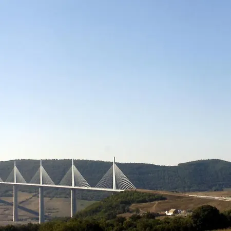 Les Palmiers Des Causses *