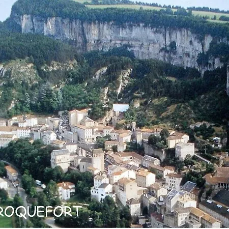 Les Palmiers Des Causses