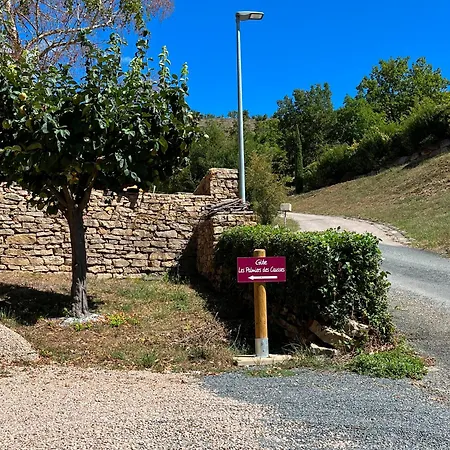 Les Palmiers Des Causses Prázdninový dům Saint-Rome-de-Tarn