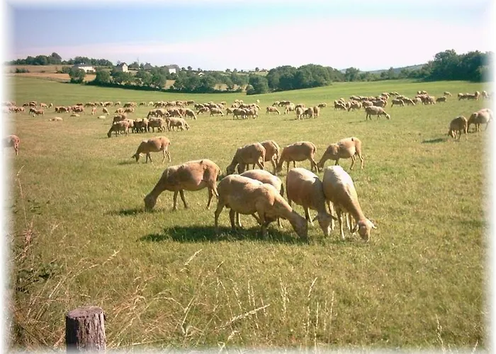 Les Palmiers Des Causses Prázdninový dům Saint-Rome-de-Tarn