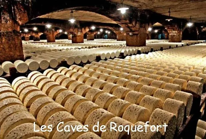 Prázdninový dům Les Palmiers Des Causses