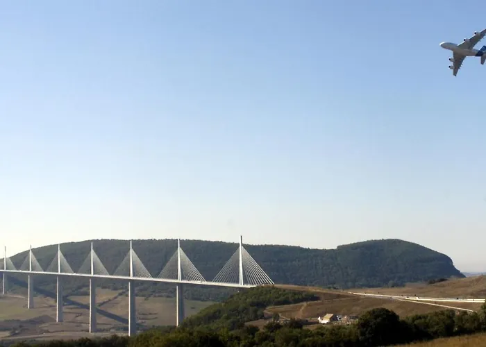 Les Palmiers Des Causses *