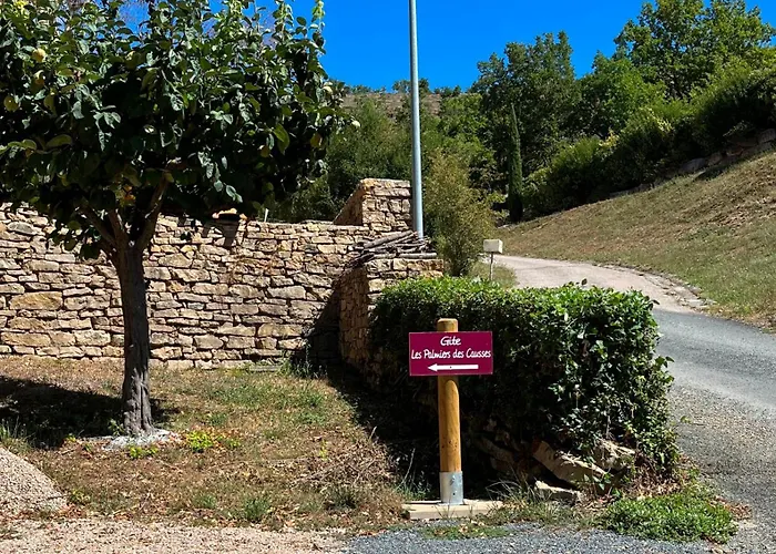 Les Palmiers Des Causses Prázdninový dům Saint-Rome-de-Tarn